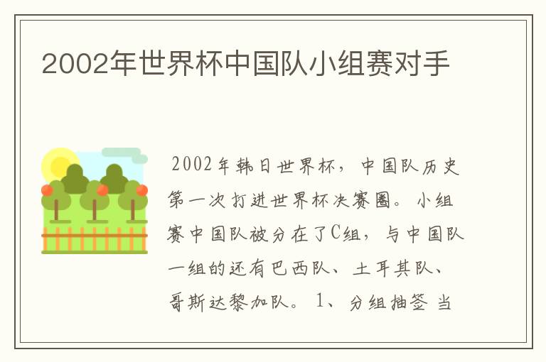 2002年世界杯中国队小组赛对手