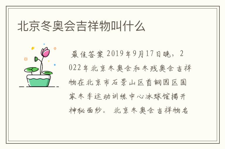 北京冬奥会吉祥物叫什么