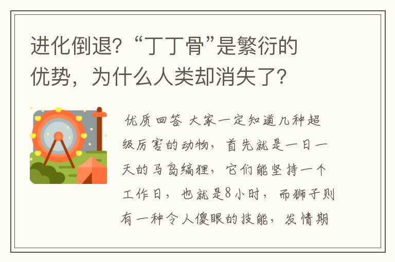 进化倒退?“丁丁骨”是繁衍的优势,为什么人类却消失了?