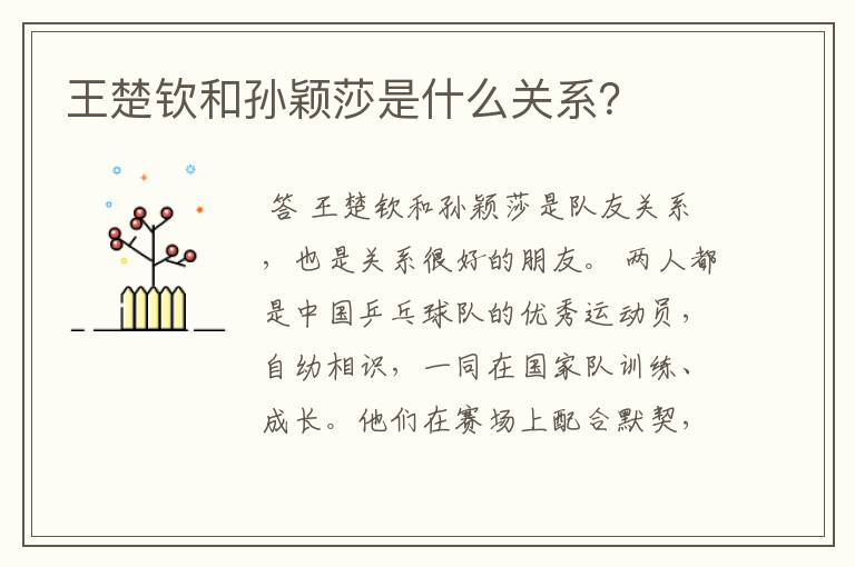 王楚钦和孙颖莎是什么关系?