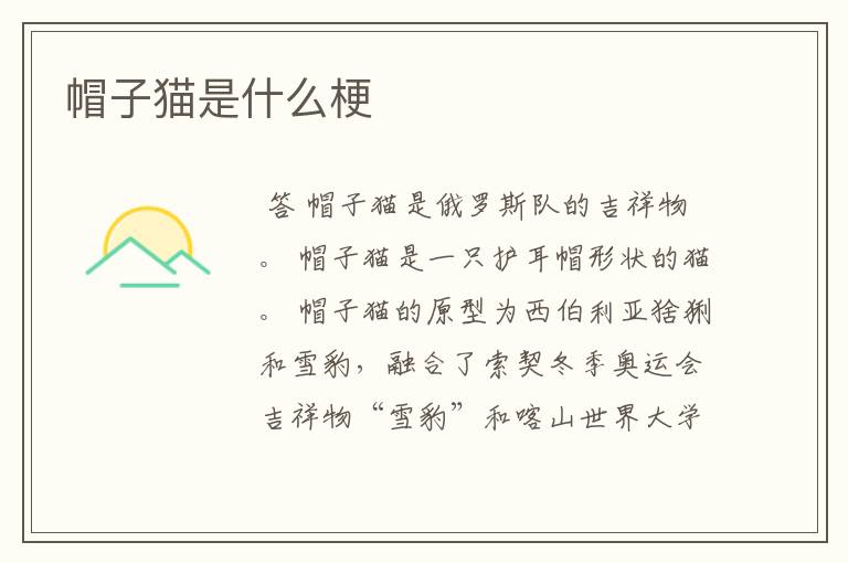 帽子猫是什么梗