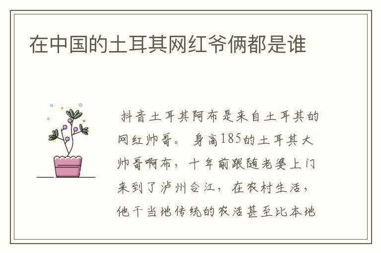 在中国的土耳其网红爷俩都是谁