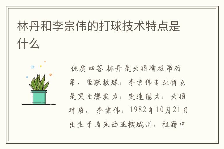 林丹和李宗伟的打球技术特点是什么