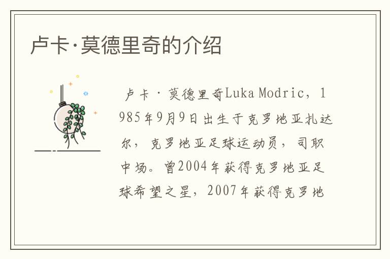 卢卡·莫德里奇的介绍