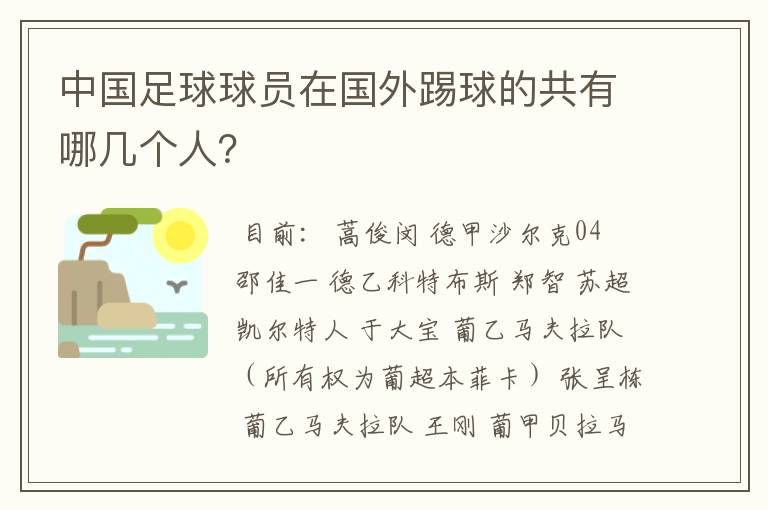 中国足球球员在国外踢球的共有哪几个人?