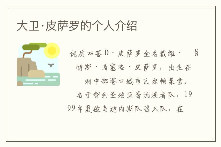 大卫·皮萨罗的个人介绍