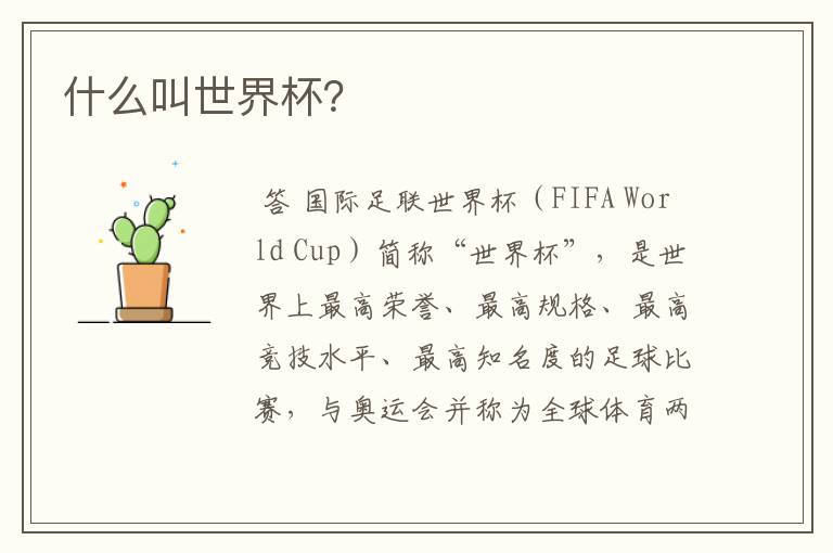 什么叫世界杯?
