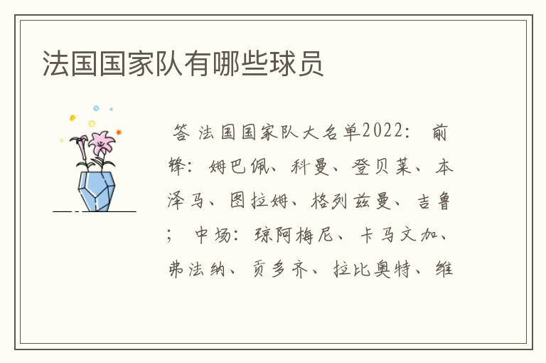 法国国家队有哪些球员