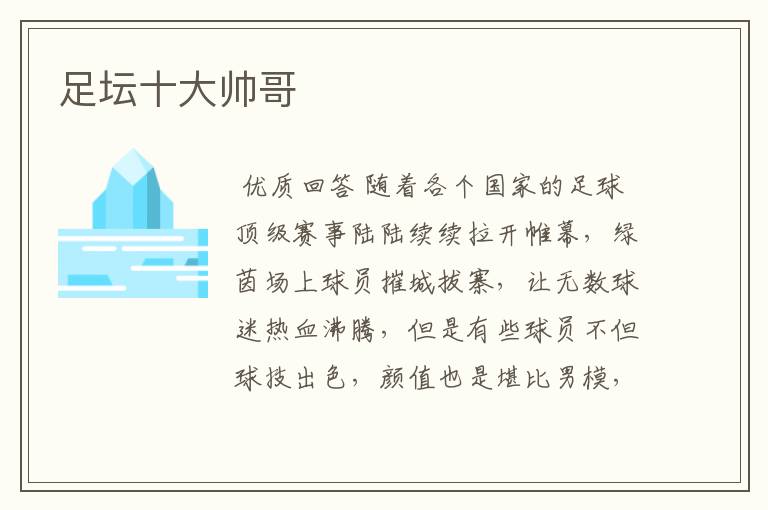 足坛十大帅哥