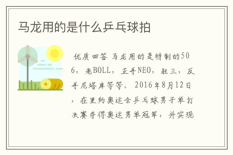 马龙用的是什么乒乓球拍