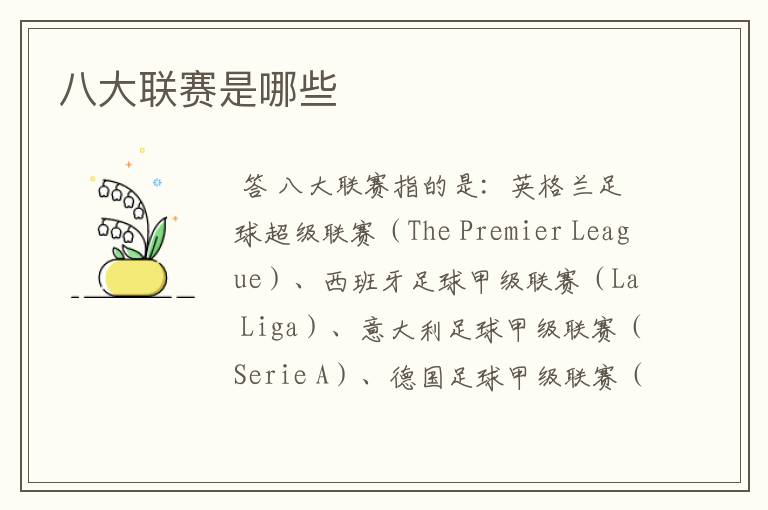 八大联赛是哪些