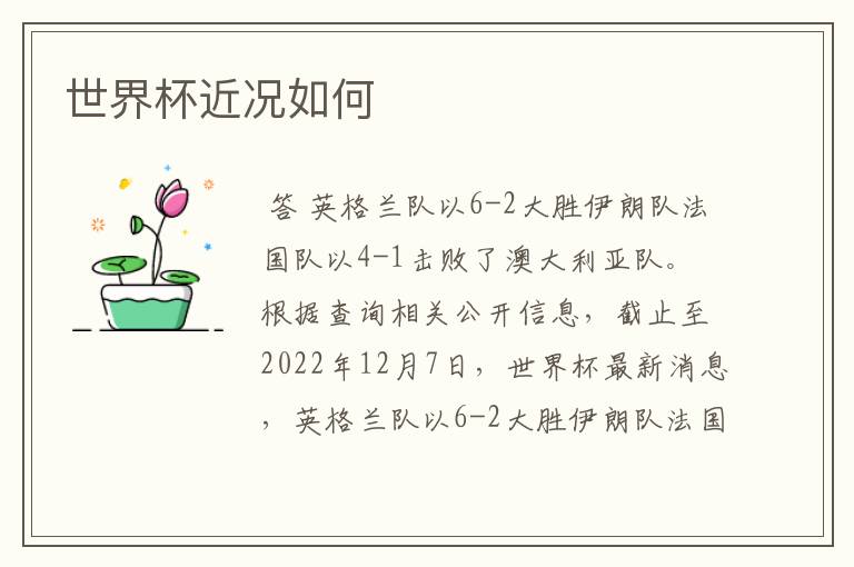 世界杯近况如何
