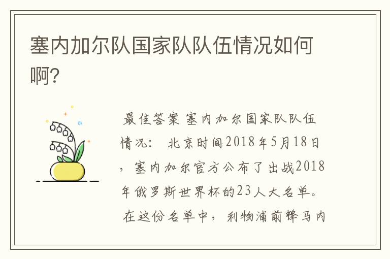 塞内加尔队国家队队伍情况如何啊?