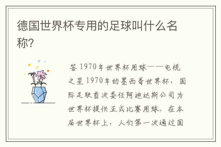 德国世界杯专用的足球叫什么名称?