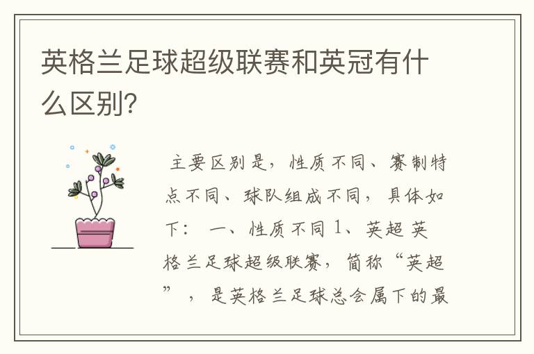英格兰足球超级联赛和英冠有什么区别?