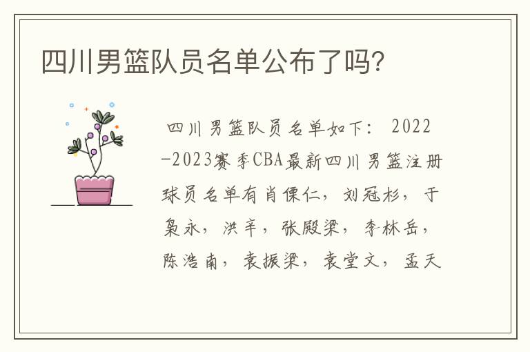 四川男篮队员名单公布了吗?