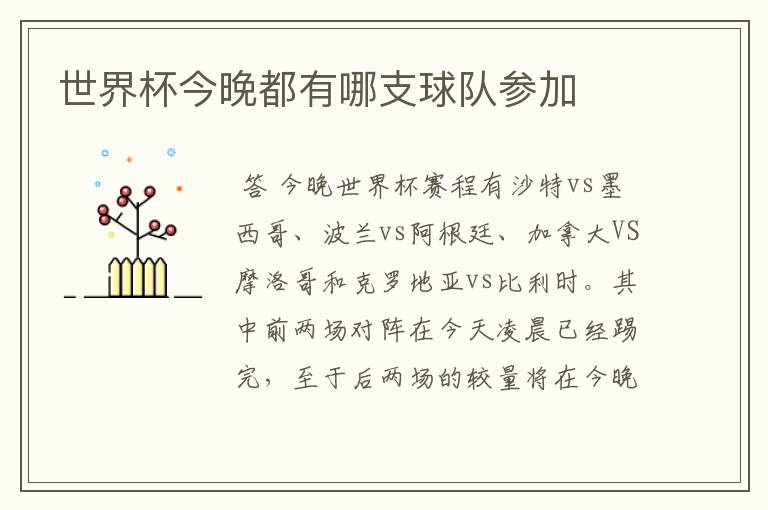 世界杯今晚都有哪支球队参加