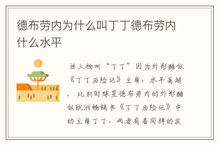 德布劳内为什么叫丁丁德布劳内什么水平