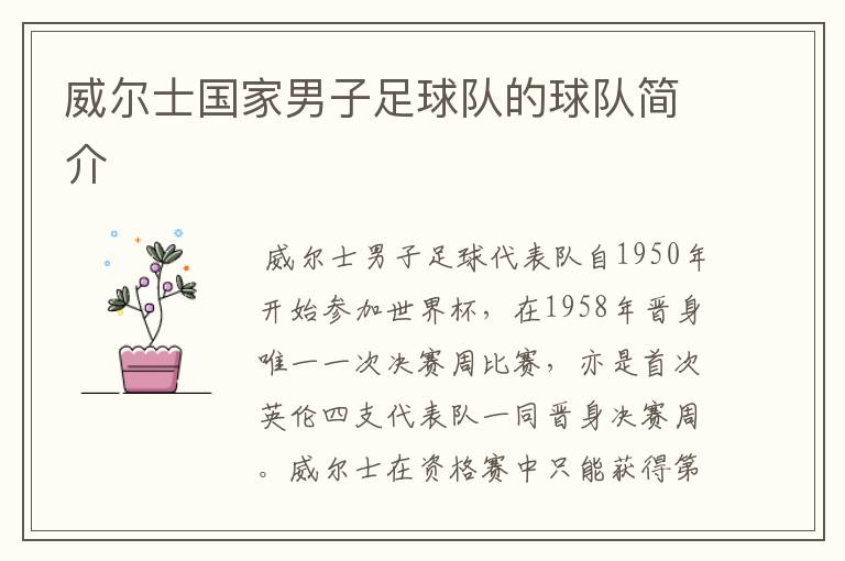 威尔士国家男子足球队的球队简介