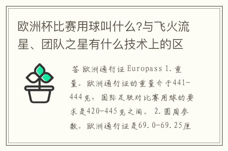 欧洲杯比赛用球叫什么?与飞火流星、团队之星有什么技术上的区别?