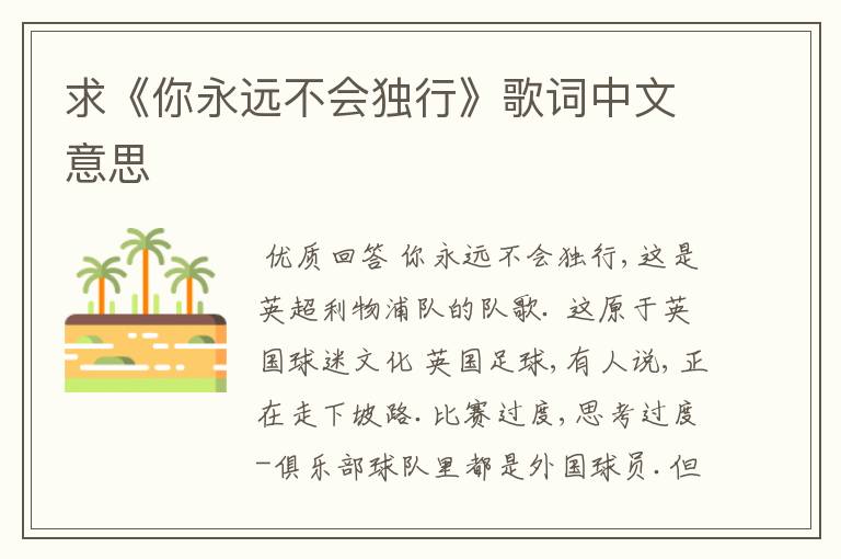 求《你永远不会独行》歌词中文意思
