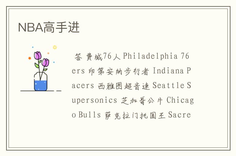 NBA高手进