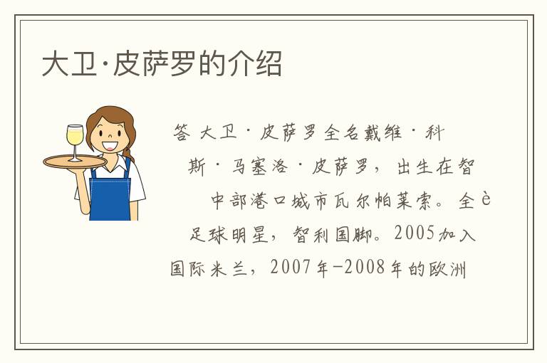 大卫·皮萨罗的介绍