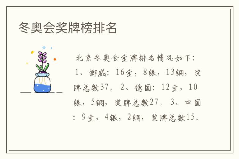 冬奥会奖牌榜排名