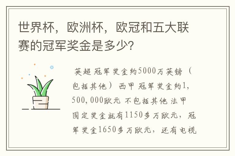 世界杯，欧洲杯，欧冠和五大联赛的冠军奖金是多少？