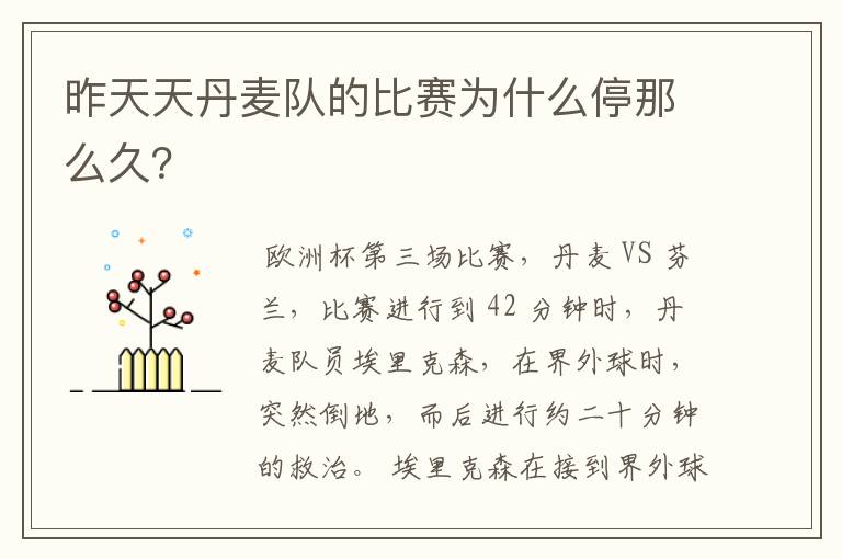 昨天天丹麦队的比赛为什么停那么久?
