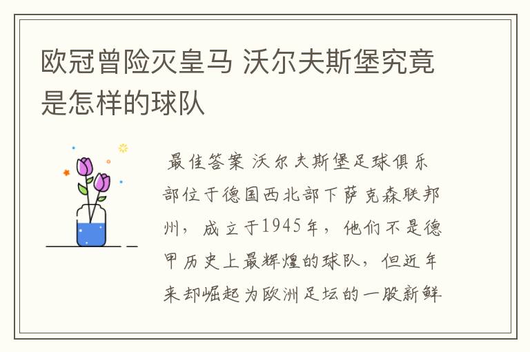 欧冠曾险灭皇马 沃尔夫斯堡究竟是怎样的球队