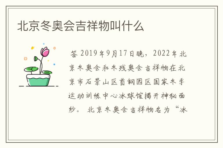 北京冬奥会吉祥物叫什么