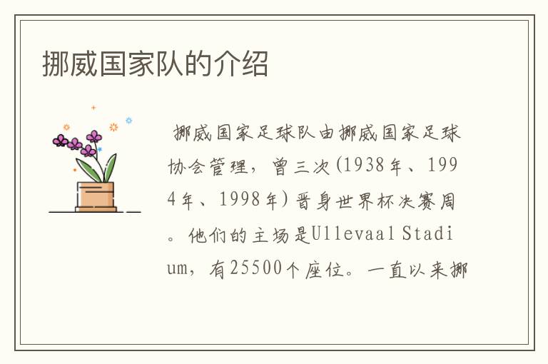 挪威国家队的介绍