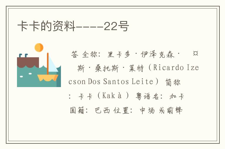 卡卡的资料----22号