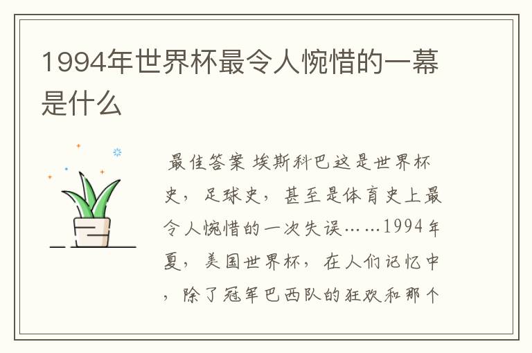 1994年世界杯最令人惋惜的一幕是什么