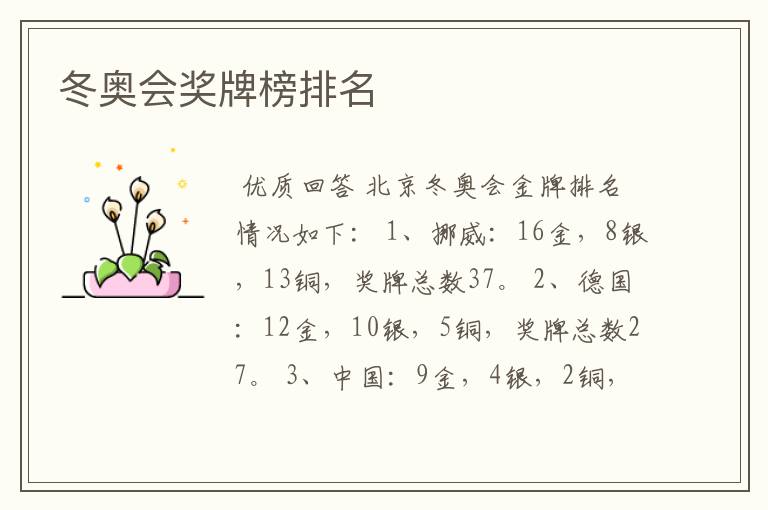 冬奥会奖牌榜排名