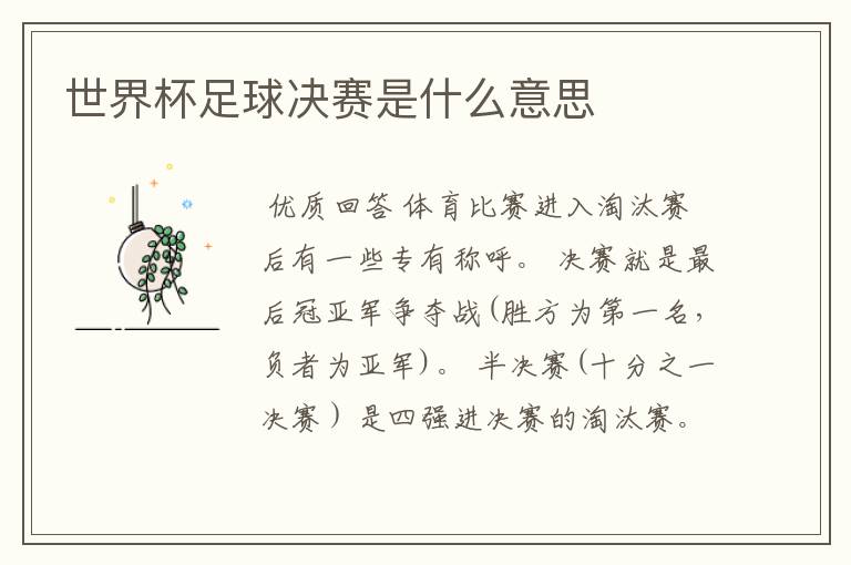 世界杯足球决赛是什么意思