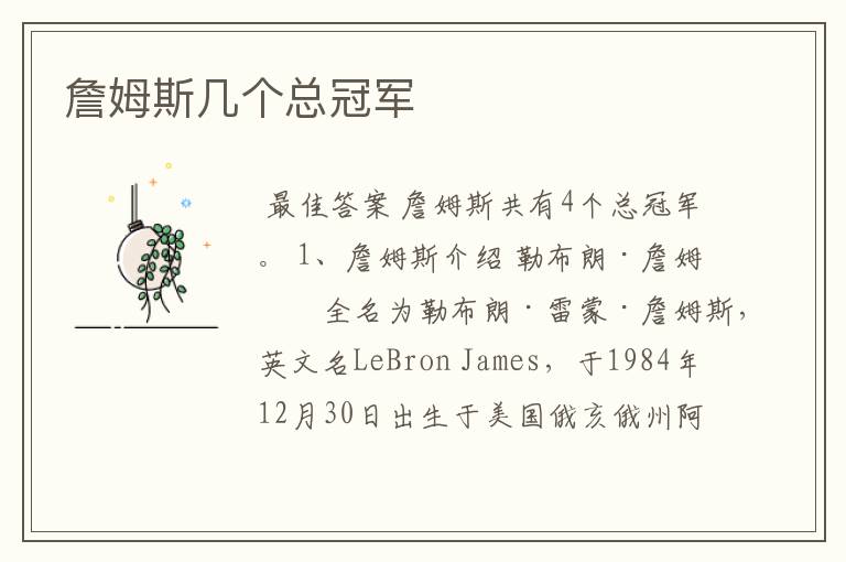 詹姆斯几个总冠军