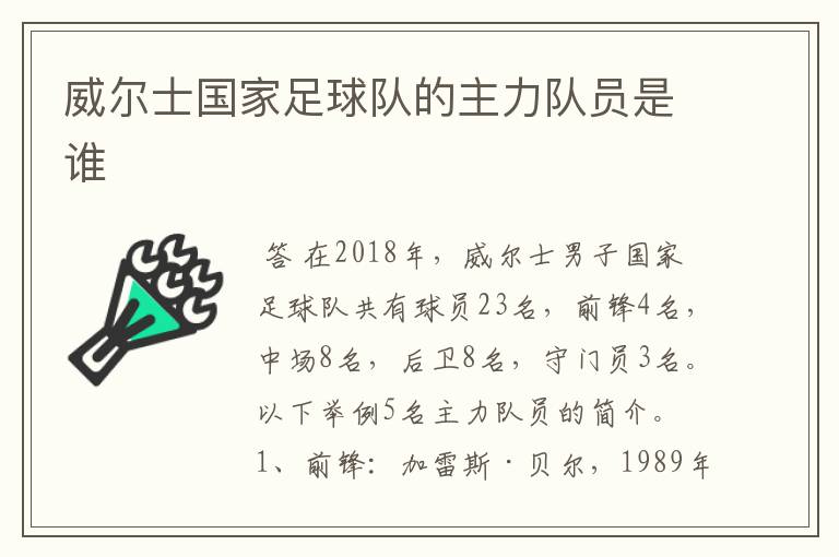 威尔士国家足球队的主力队员是谁