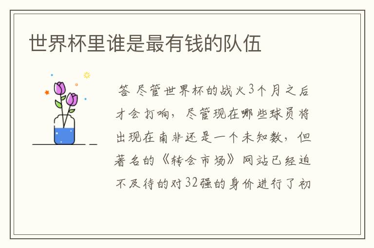 世界杯里谁是最有钱的队伍