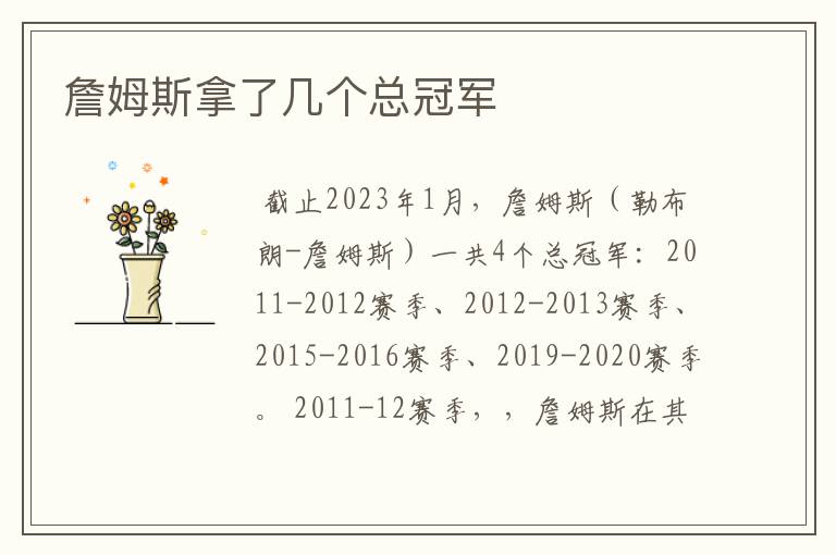 詹姆斯拿了几个总冠军