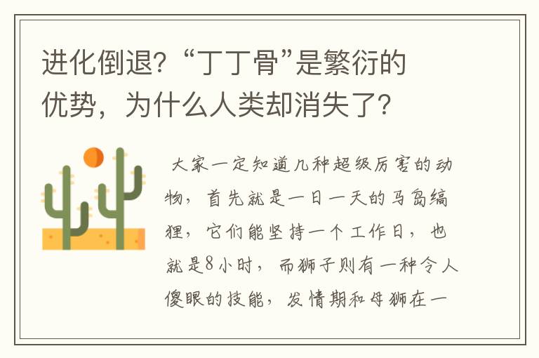 进化倒退?“丁丁骨”是繁衍的优势,为什么人类却消失了?