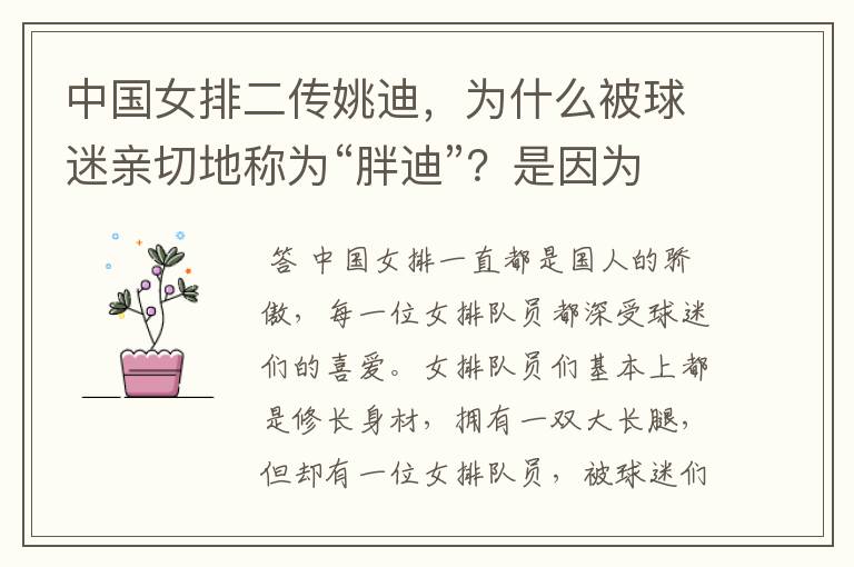中国女排二传姚迪,为什么被球迷亲切地称为“胖迪”?是因为她胖吗?