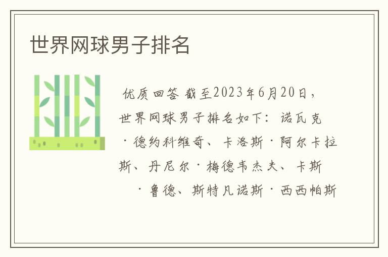 世界网球男子排名
