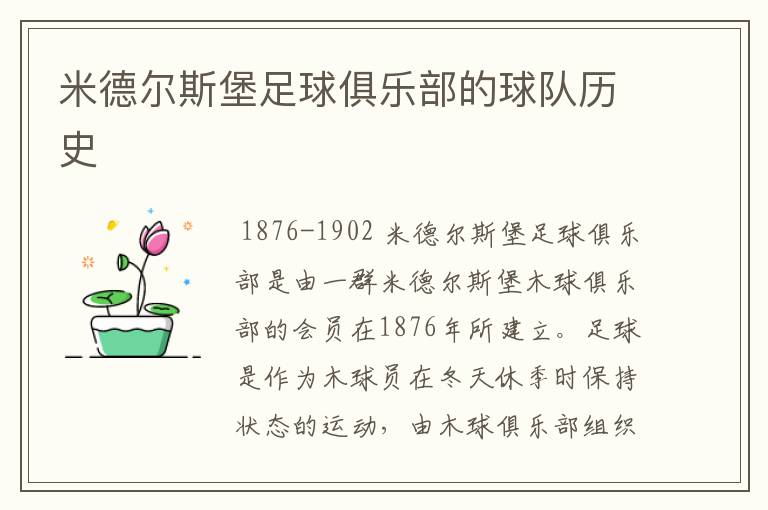 米德尔斯堡足球俱乐部的球队历史
