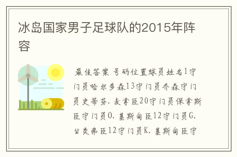 冰岛国家男子足球队的2015年阵容