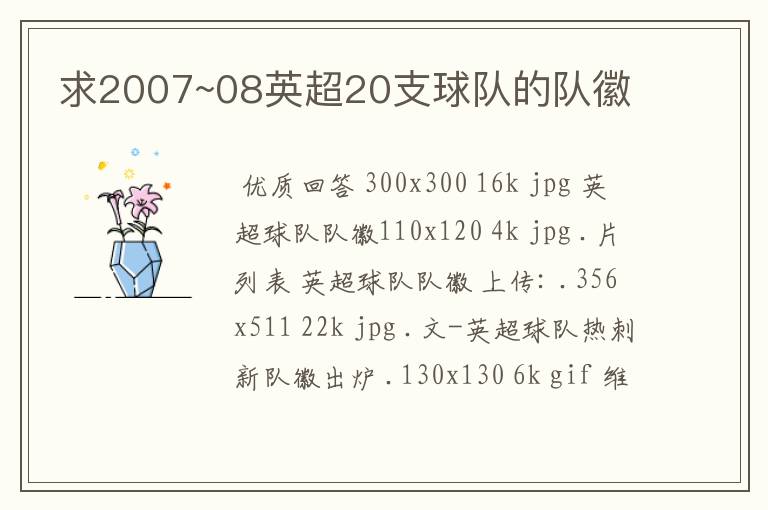 求2007~08英超20支球队的队徽