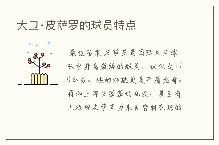 大卫·皮萨罗的球员特点