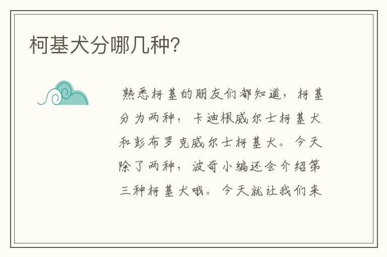柯基犬分哪几种?