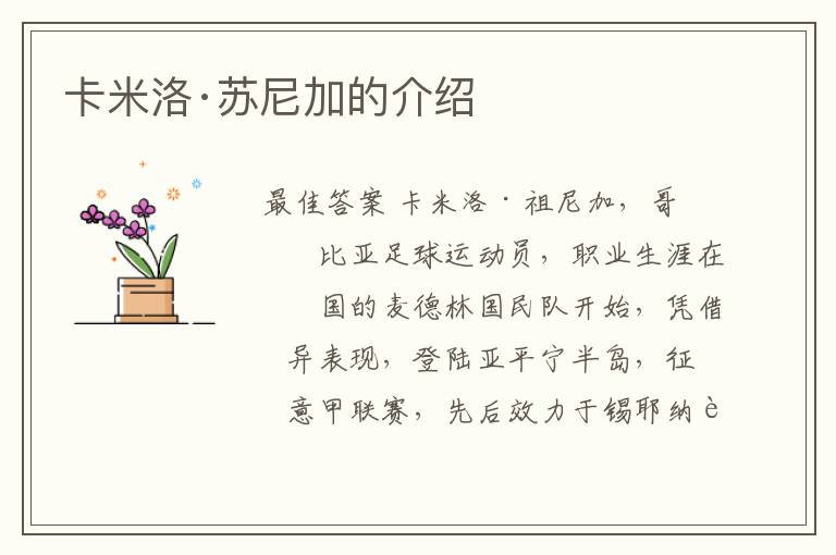 卡米洛·苏尼加的介绍